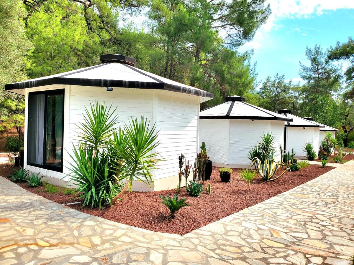 Nomad Lodge Olympos Adults Only Ngoại thất bức ảnh